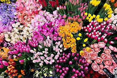 《战地5》Steam开启免费试玩 终极版降价90%