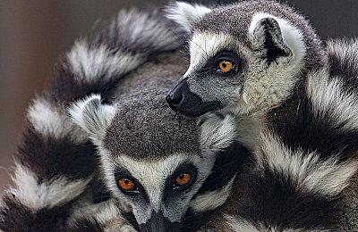 《仙剑7》6000系A卡崩溃问题修复：更新驱动就好